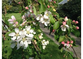 ������ ����������� "Pendula"