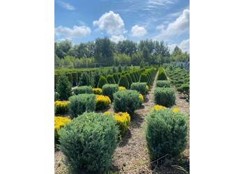 ������������ �������� "Moonglow"�."���", �."���"